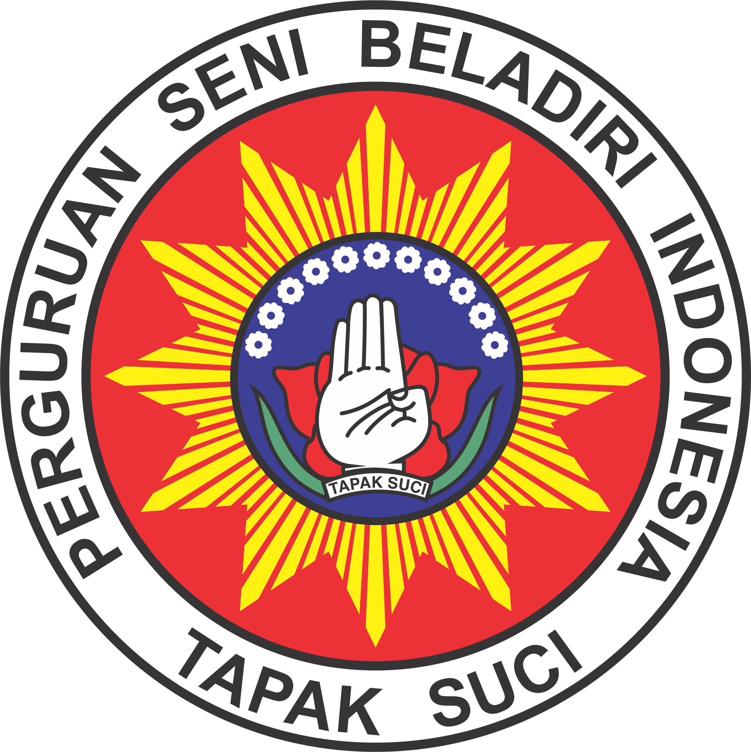 Ekstrakurikuler Tapak Suci Muhammadiyah